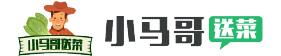 小马哥送菜